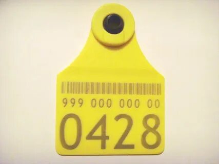 999 0000