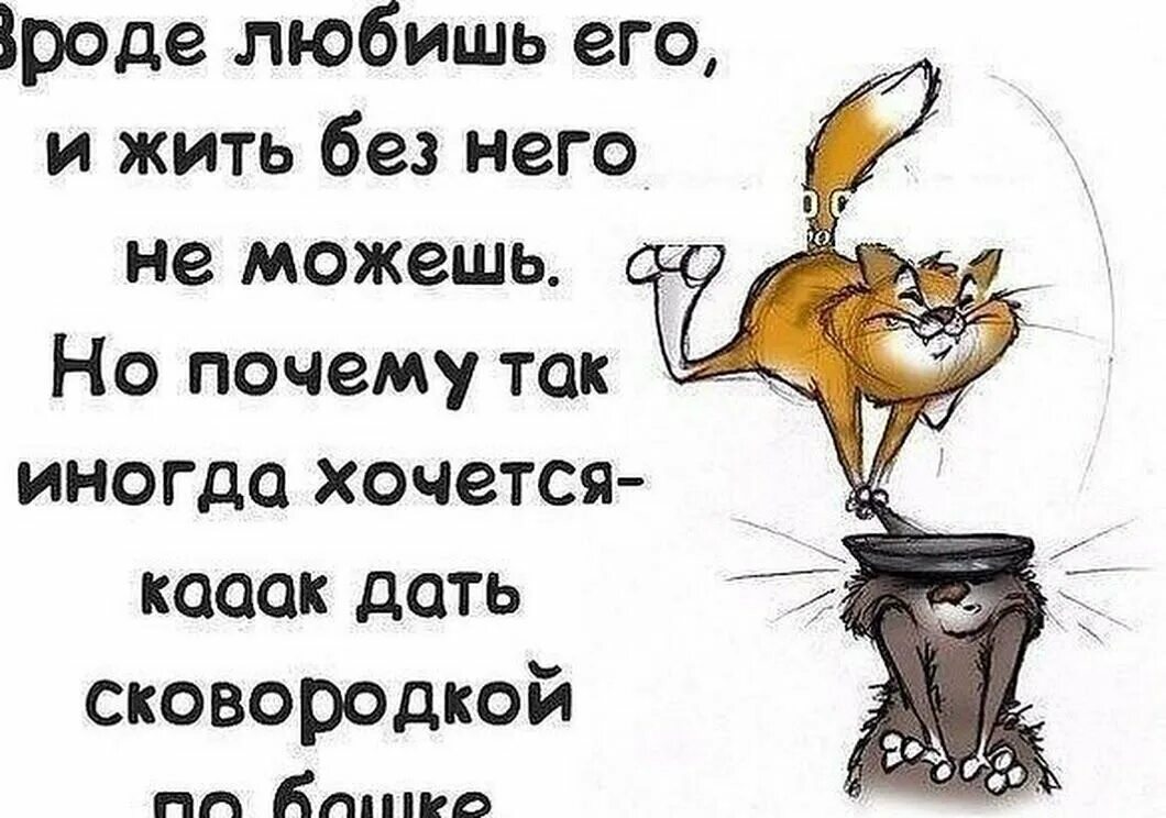 Почему не хочешь давай