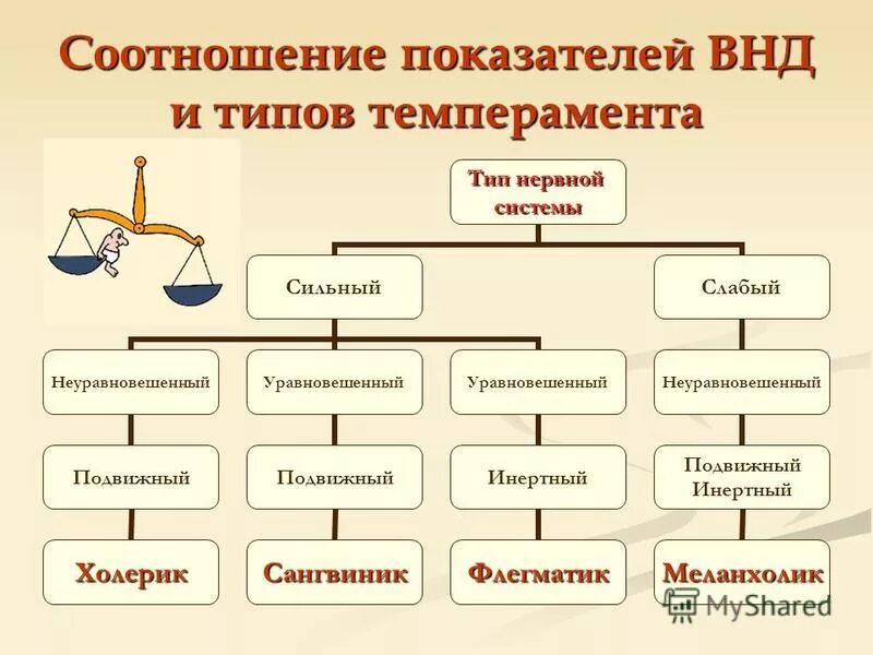 Соотнесите виды. Соотношение типов ВНД И темперамента. Типы высшей нервной деятельности. Тип темперамента и Тип высшей нервной деятельности. Типы высшей нервной деятельности таблица.