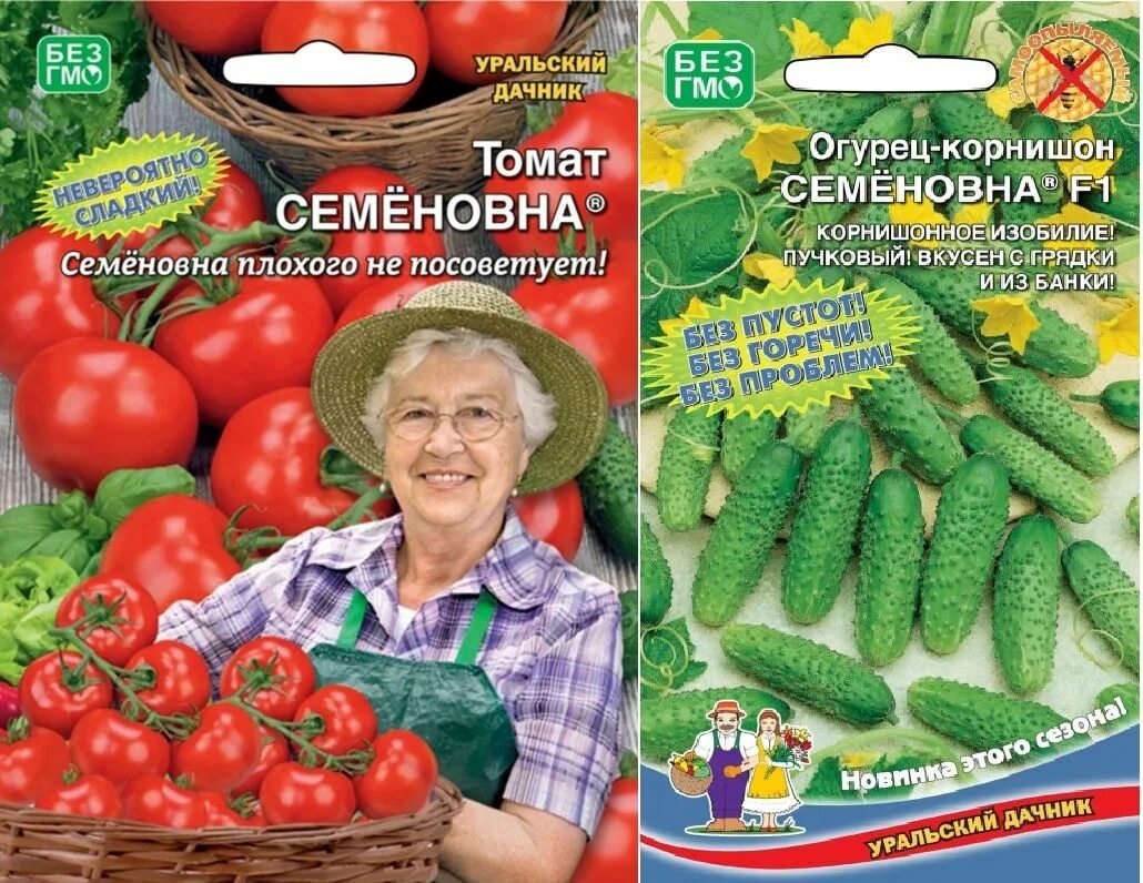 сорт помидор семеновна. томат семеновна высота куста. семена томат семеновна уральский дачник. помидоры семеновна. томат семеновна.