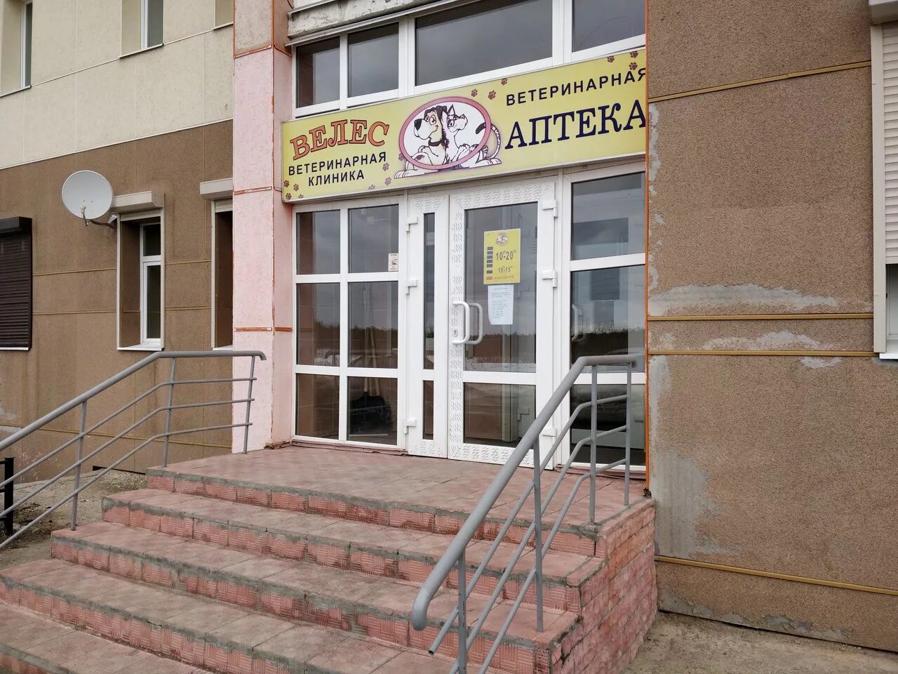 Ветклиника ухта телефон. Номер ветеринарки. Рекламный баннер ветеринарной клиники. Ветклиника ухта телефон. Ветклиника ухта телефон.