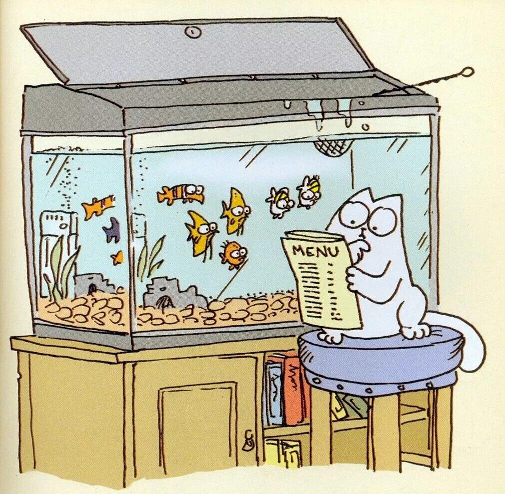 В закрытом аквариуме было 10 рыбок 2 утонули. Разные рыбки. В аквариуме было 10 рыбок 2 утонули. В аквариуме 10 рыбок загадка. Задачи на логику аквариум с рыбками.