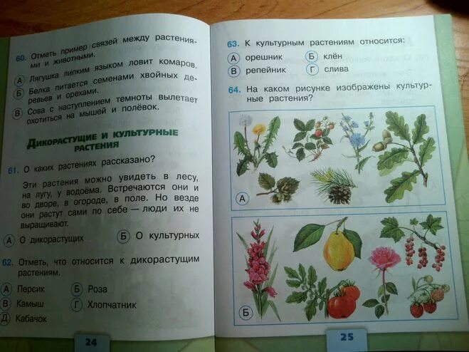 Страница 56 номер три