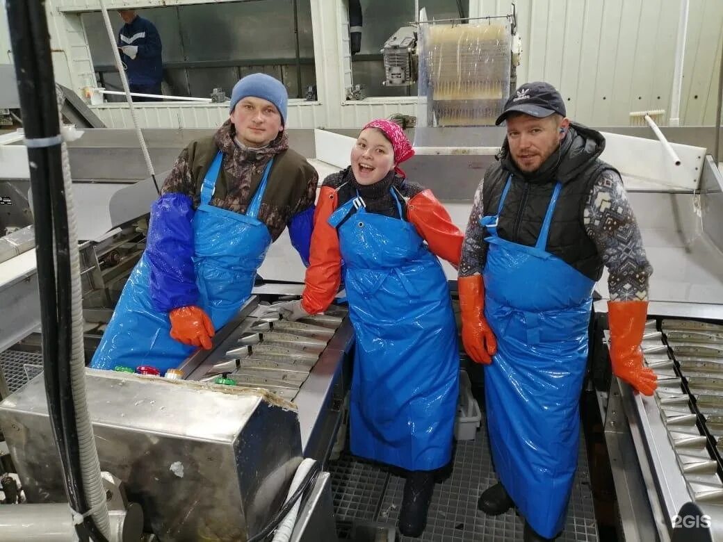 Рыбообработка рыба камчатка рыбак. Вахта камчатка рыбообработка. Вахтовый метод работы камчатка. Ильпырь камчатка. Вахта камчатка рыбообработка.