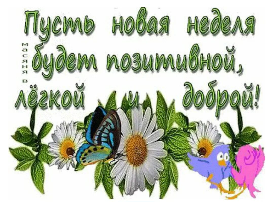 Доброго дня начала недели. Открытки с пожеланием хорошей недели. Оригинальные открытки с добрым утром понедельника. Открытки удачной недели. Поздравление с понедельником в картинках.