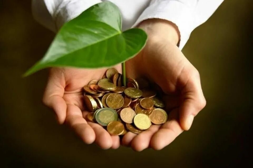 Плата за окружающую среду. Деньги и природа. Плата за экологию. Плата за нвос. Плата за негативное воздействие на окружающую среду.