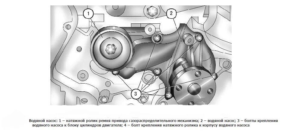 Форд фокус 2 2.0 литра привод помпы охлаждения. ГРМ И помпа фокус 3. Фокус 2 помпа расположение. Болты крепления водяного насоса Форд фокус 2. Ролик водяного насоса