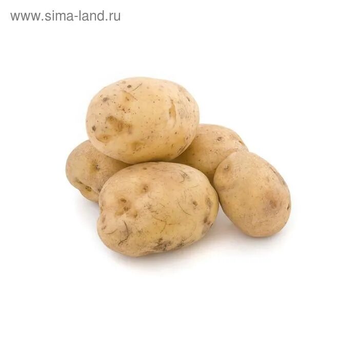 Папас арругадас. Українська картопля. Картошка портал. Potato papa. Potato papa.