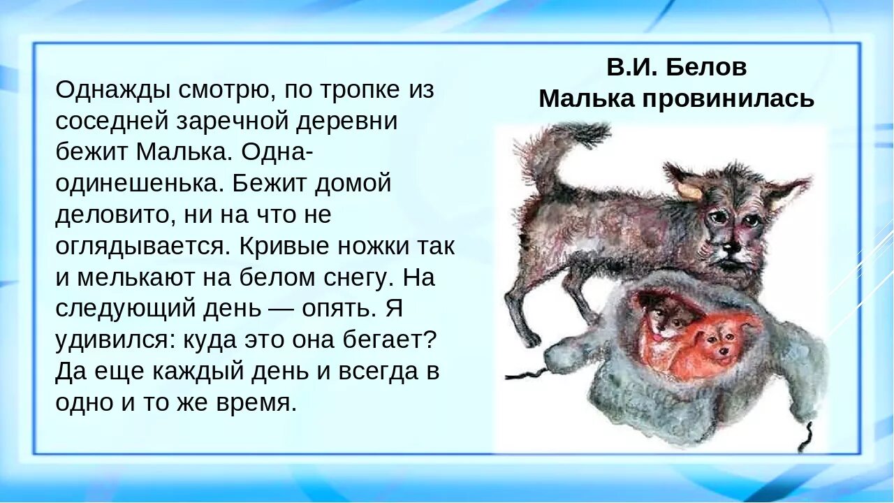 Что общего между произведениями белова. Рассказ про мальку. Придумать рассказ про мальку. Рассказ пол мальку. История про мальку придумать 3 класс.