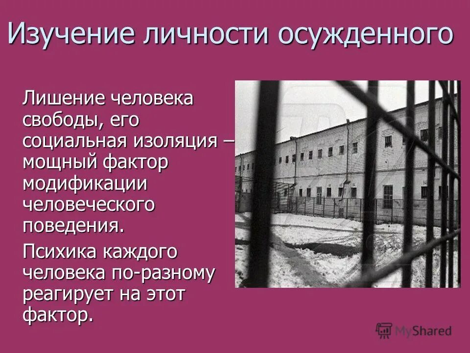 структура личности осужденного. характеристика личности осужденного. личность осужденных. личностные особенности осужденных. преступник за решеткой.