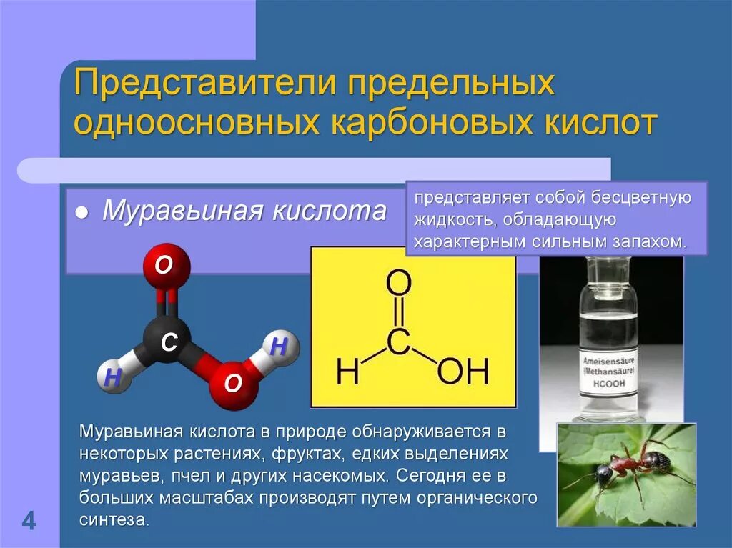 Структурные формулы предельных одноосновных кислот. Муравьиная кислота химия 10 класс. Электронное строение муравьиной кислоты. Предельные одноосновные карбоновые кислоты. Представители предельных карбоновых кислот.