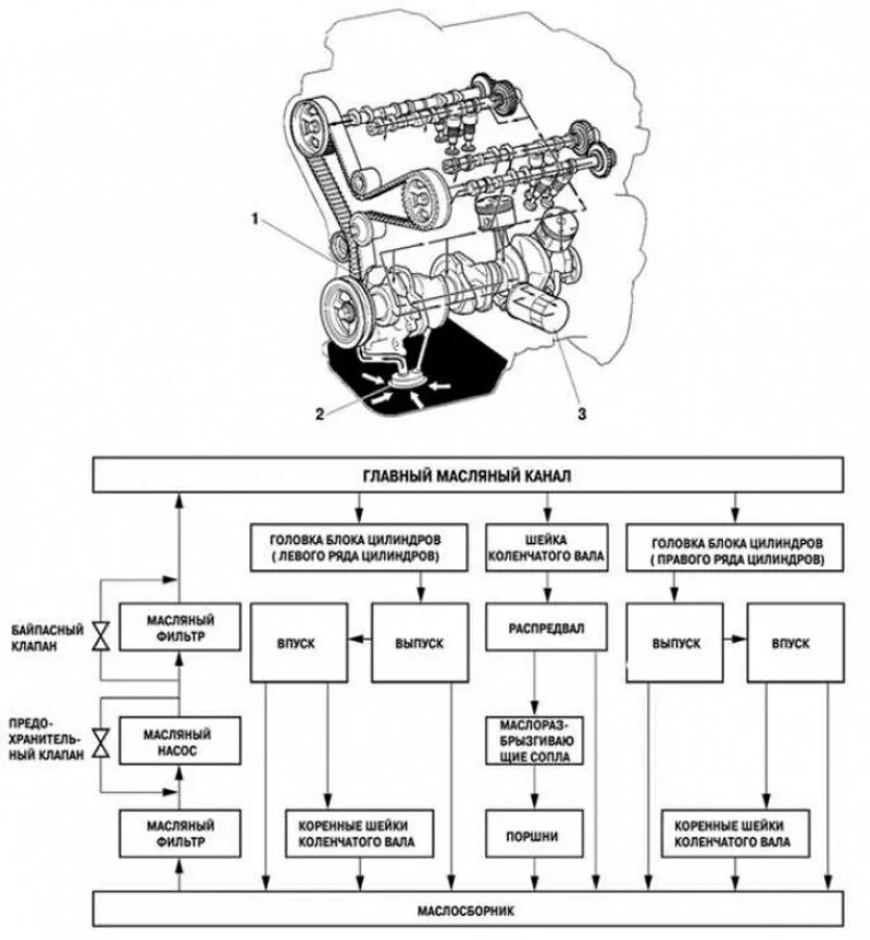 Система смазки двигателя 2gr Fe. Система смазки двигателя 1mz-Fe. Схема масляной системы двигателя 2.4 Тойота Камри v50. Двигатель схема Тойота Камри двигатель 2.4.