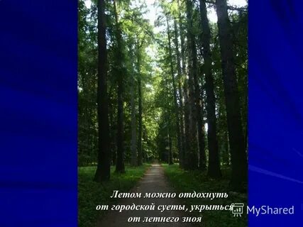 Летом можно