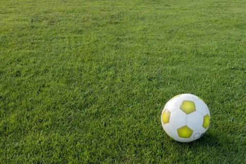 Спортивная игра на травяном поле