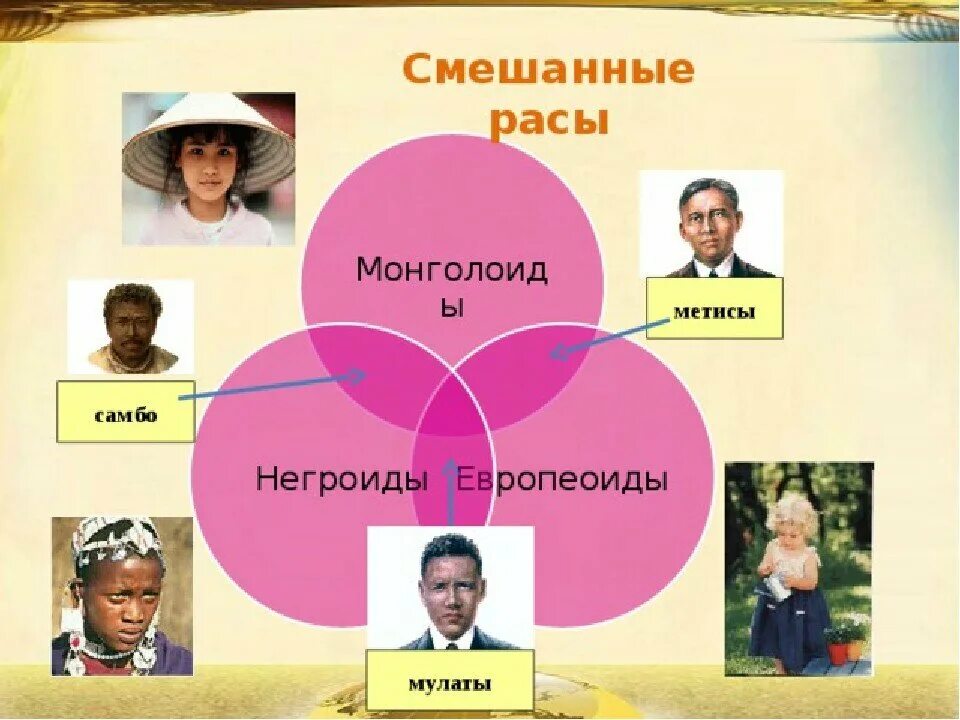 Смешанные расы людей