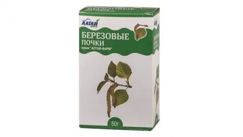Березовые почки для чего