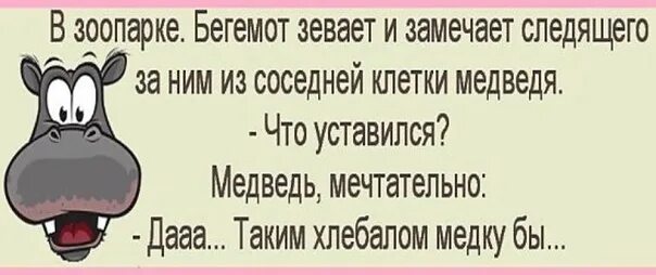 Анекдоты протбегемотов. Анекдот про бегемота. Анекдот про медведя. Анекдот про бегемотиков. Анекдоты зоопарк