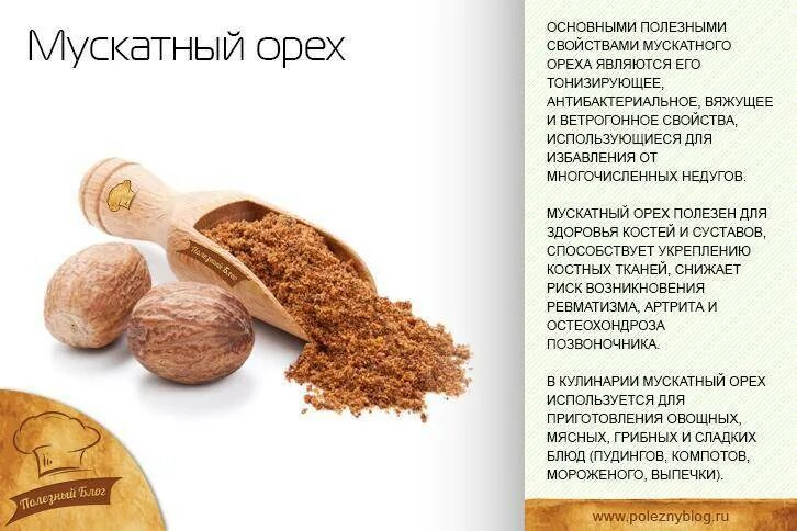 Мускатный орех какова. Мускатный орех специя. Чем полезен мускатный орех. Полезные вещества в мускатном орехе. Мускатный орех для чего полезен.