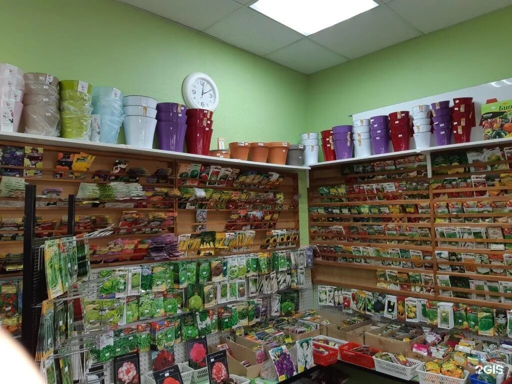 Ассортимент садового магазина. Магазин семян в железнодорожном. Самый крупный магазин семян в москве. Выкладка семян. Стеллаж для семян.