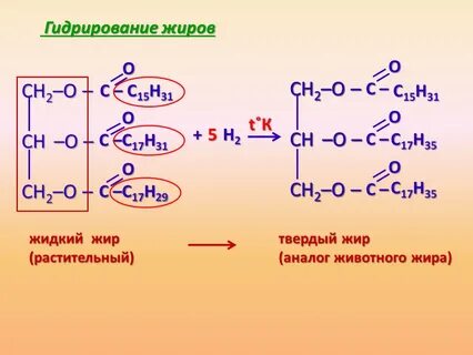 Гидрирование растительных масел
