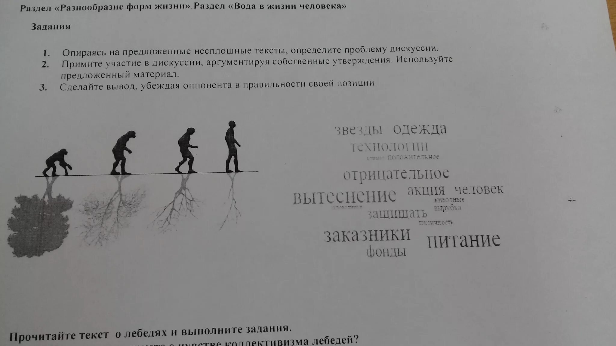 Опираясь на фрагмент многообразие. Несплошные тексты 4 класс по русскому. Текст в разнообраз. Составить несплошной маленький текст.