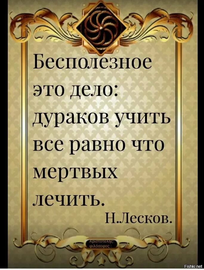 Афоризмы про дураков. Дураков учить бесполезно. Высказывания о дураках. Афоризмы про дураков и умных.