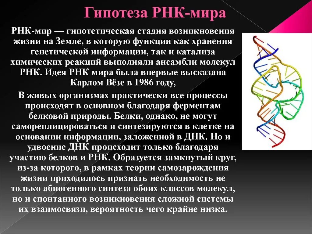 Гипотеза РНК происхождение жизни. Мир РНК теория происхождения жизни. РНК происхождение жизни.