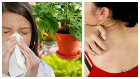 Смотреть орыс секс трассада онлайн