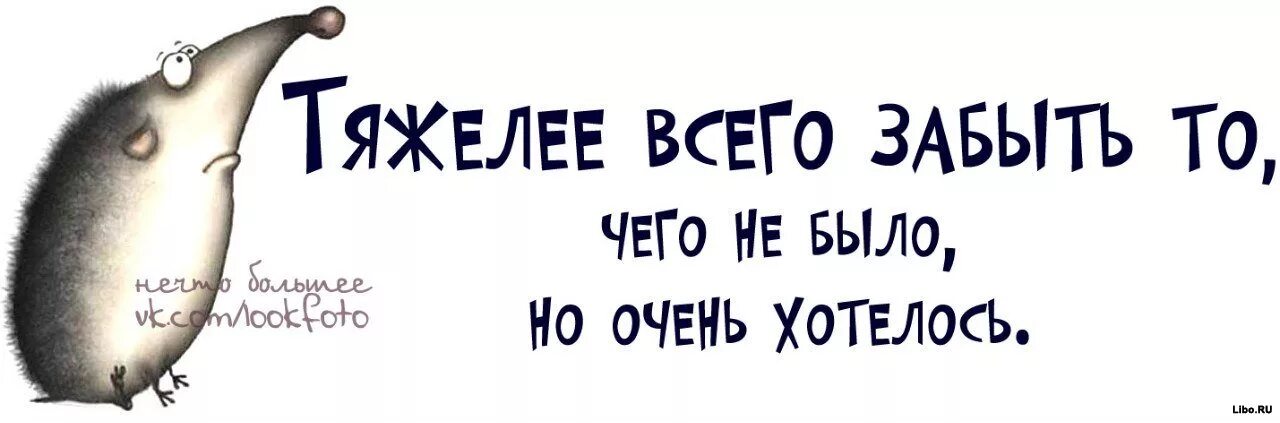 цитаты со смыслом прикольные. цитаты со смыслом прикольные. цитаты со смыслом прикольные. остроумный смысл. слова со смыслом прикольные.