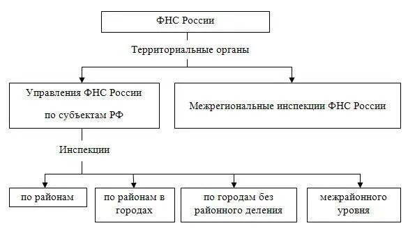 Подразделение налоговой службы. Структура Федеральной налоговой службы РФ. Схему структуры налоговых органов России. Организационная структура налоговой инспекции схема. Структура налоговой службы РФ схема.