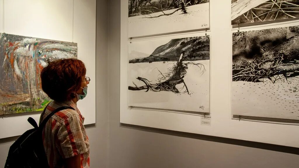 Дом художника сыктывкар. Выставки сыктывкар. Выставки сыктывкар. Фотовыставки в сыктывкаре. Выставки сыктывкар.