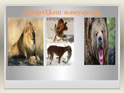 Кроссdresser белдікпен трахает (порно)