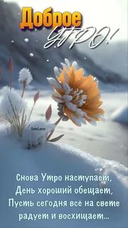 Доброе утро февраль картинки со смыслом