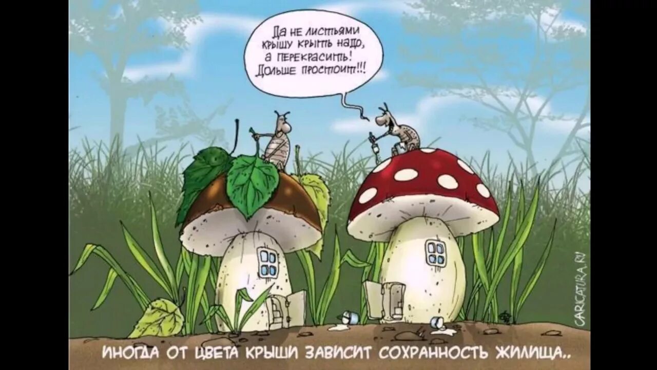 Грибы прикол. Приколы про грибников. Анекдоты про грибы в картинках. Смешные шутки про грибы.