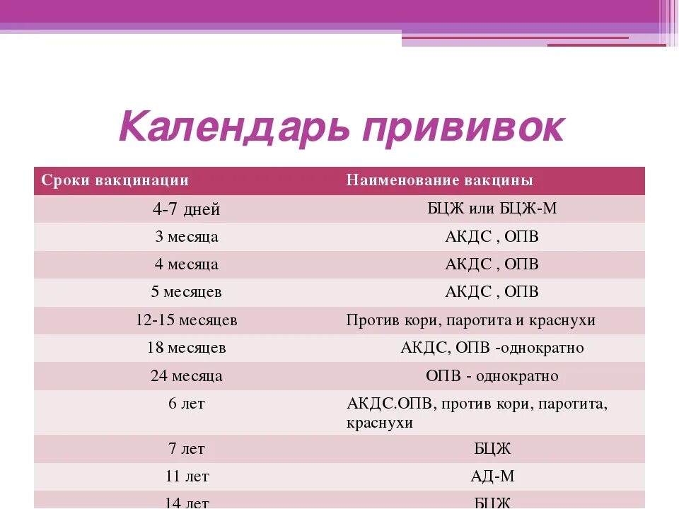 Сколько раз в месяц проводится. БЦЖ вакцина сроки введения. БЦЖ прививка график прививок. БЦЖ сроки вакцинации и ревакцинации. Сроки прививки БЦЖ.