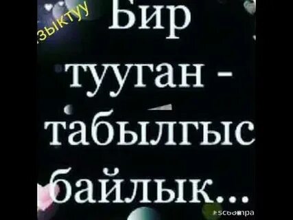 Бир тууган ыр