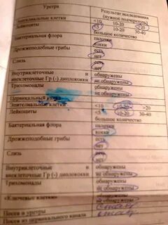 Исследование мочеполовых органов расшифровка