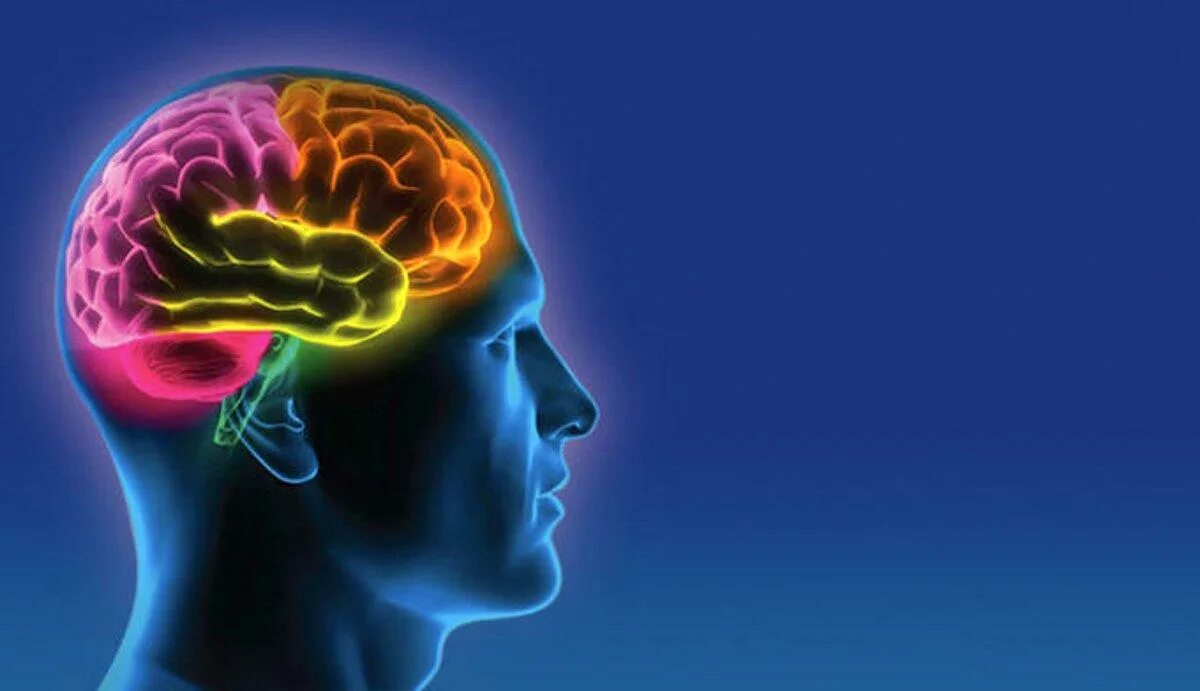 Thinking illustration. Креативное мышление. Mind for numbers. Красивый мозг. Красивый мозг.