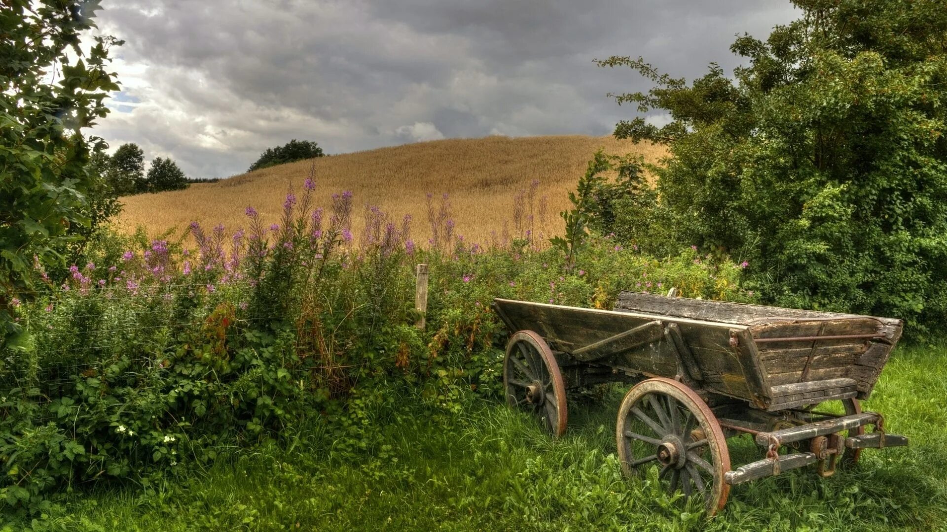 Телега с лошадью. Телега с лошадью. Подъехала подвода. Подъехала подвода. Конь с телегой.