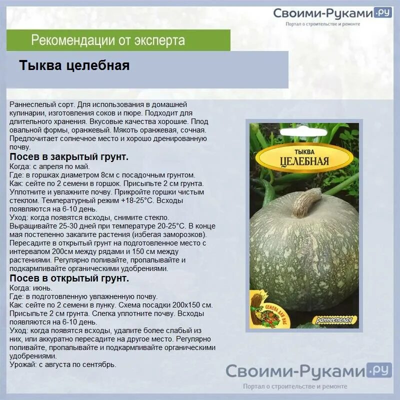 Какой сорт тыквы полезнее. Тыква сорта целебная (с. maxima).. тыква сорта описание. сорта тыквы с фото и описанием. тыква целебная описание сорта.