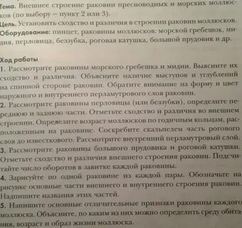 Отметьте сходство