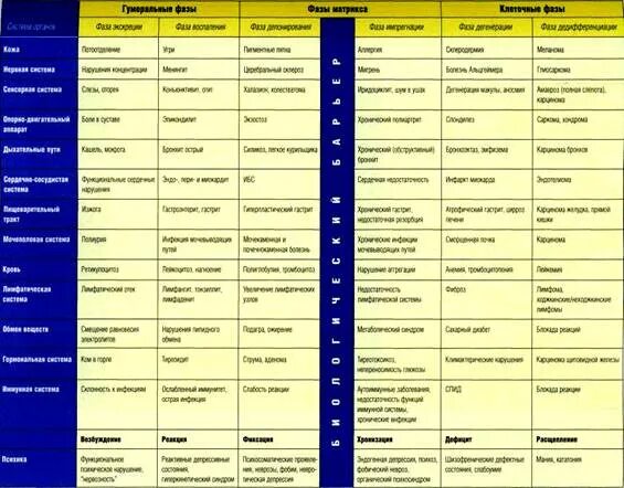 Таблица шести фаз Shtampik.com