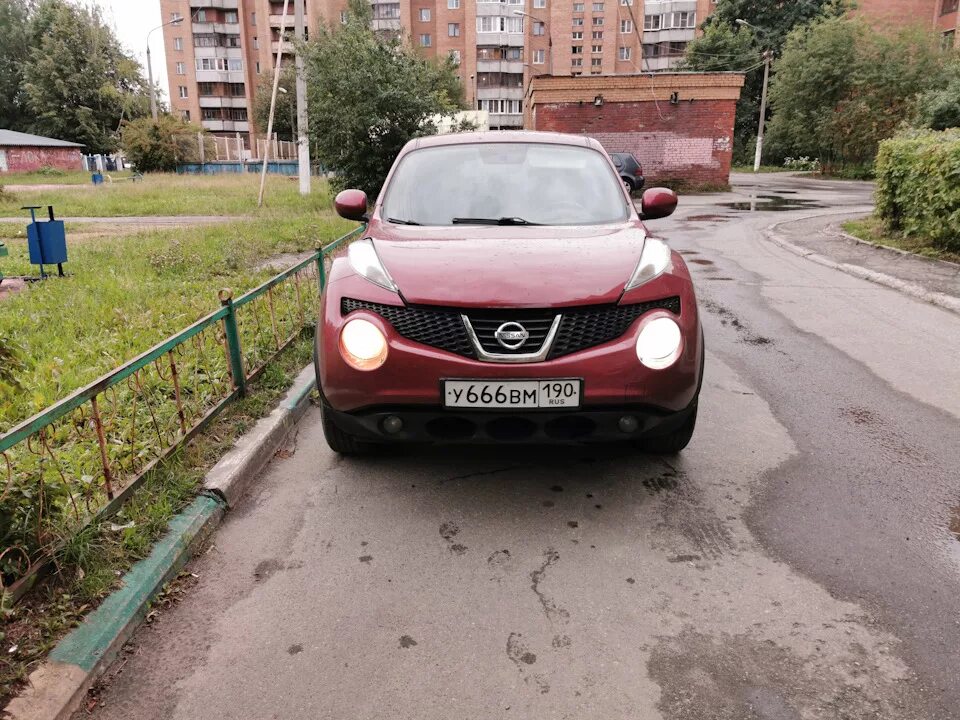 Лампа ближний свет ниссан жук 2011. Лампа ближний свет ниссан жук 2011. Nissan juke 2011 лампы ближнего света. Ниссан жук лампочка в туманке. Nissan juke 2012 лампы.