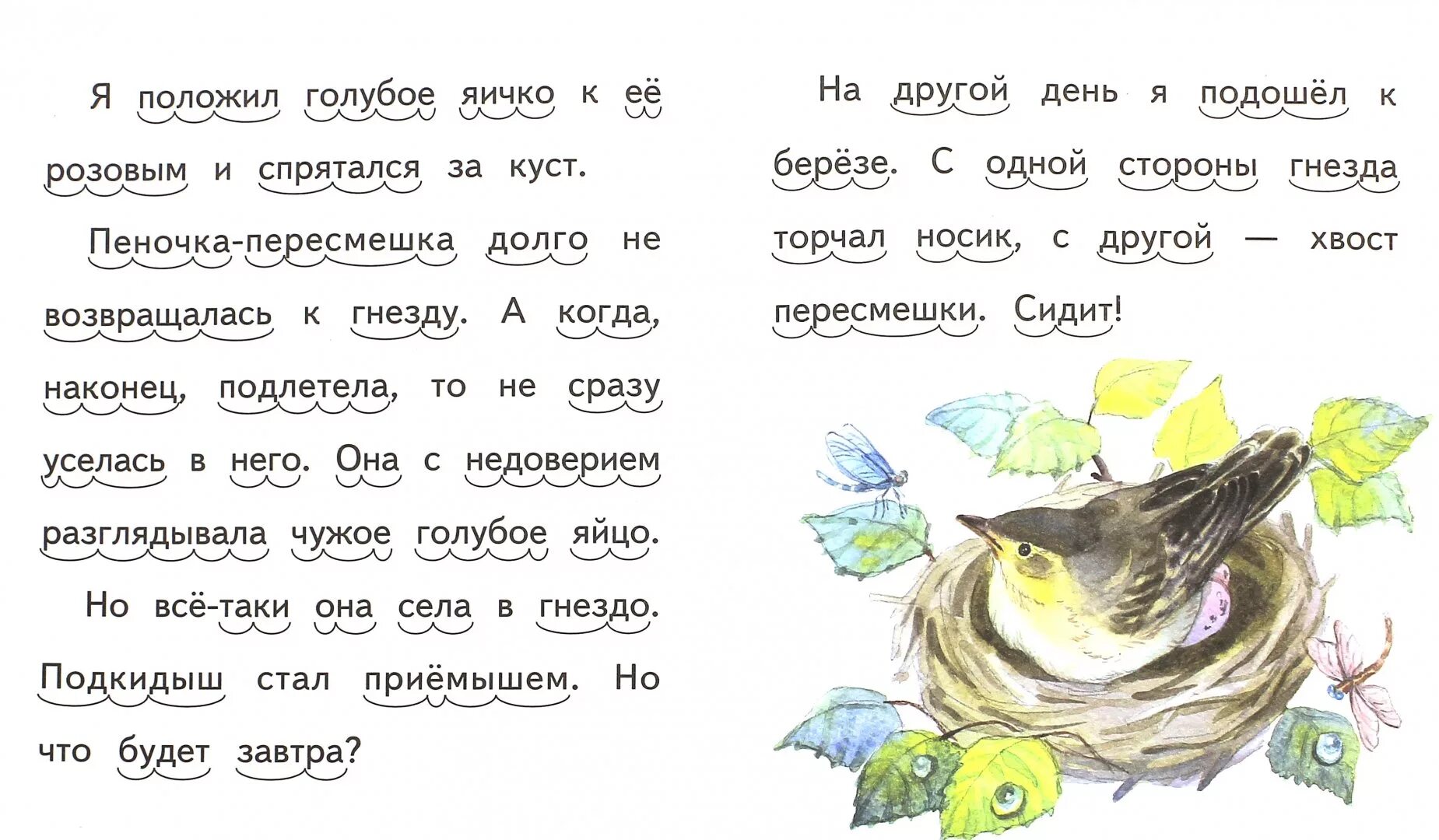 Подкидыш рассказ Бианки. Иллюстрации к рассказу Подкидыш Бианки.