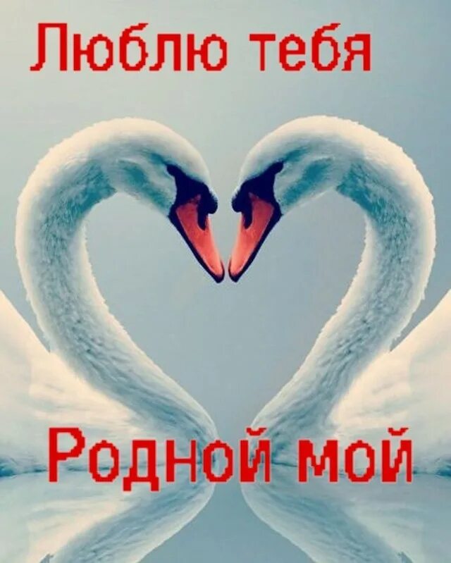 Люблю тебя родная. Путешествие по родному краю. Надпись движение первых родные любимые. Стихи о родном крае. Лихачев воспитание любви к родному краю к родной культуре.
