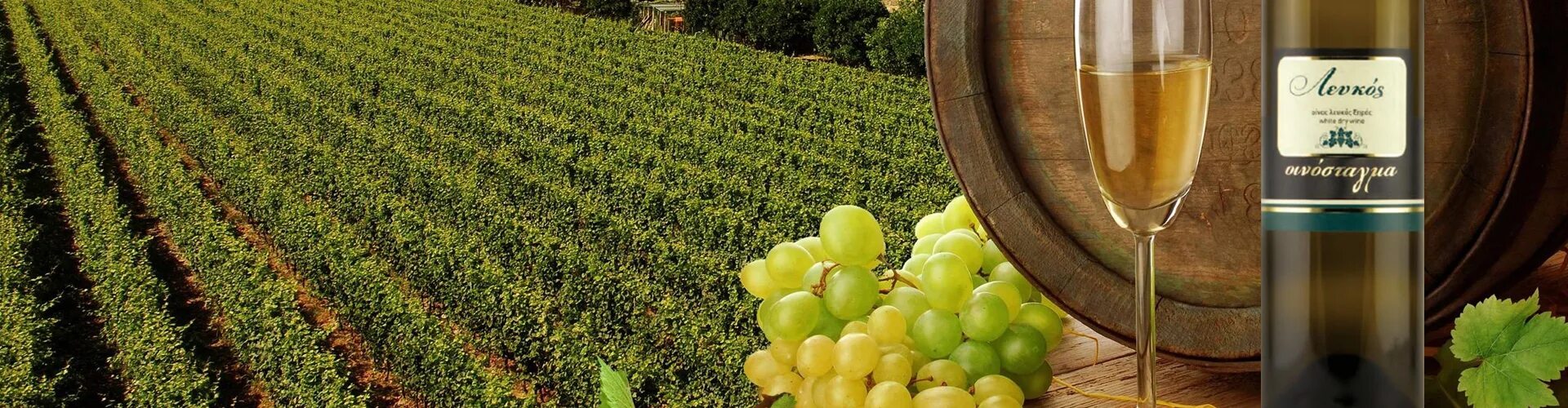 There are some grapes