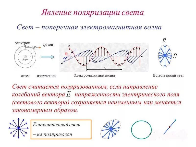 Явление поляризации доказывает. Поляризация плоскополяризованный свет. Явление поляризации доказывает. Что доказывает явление поляризации. Явление поляризации доказывает.