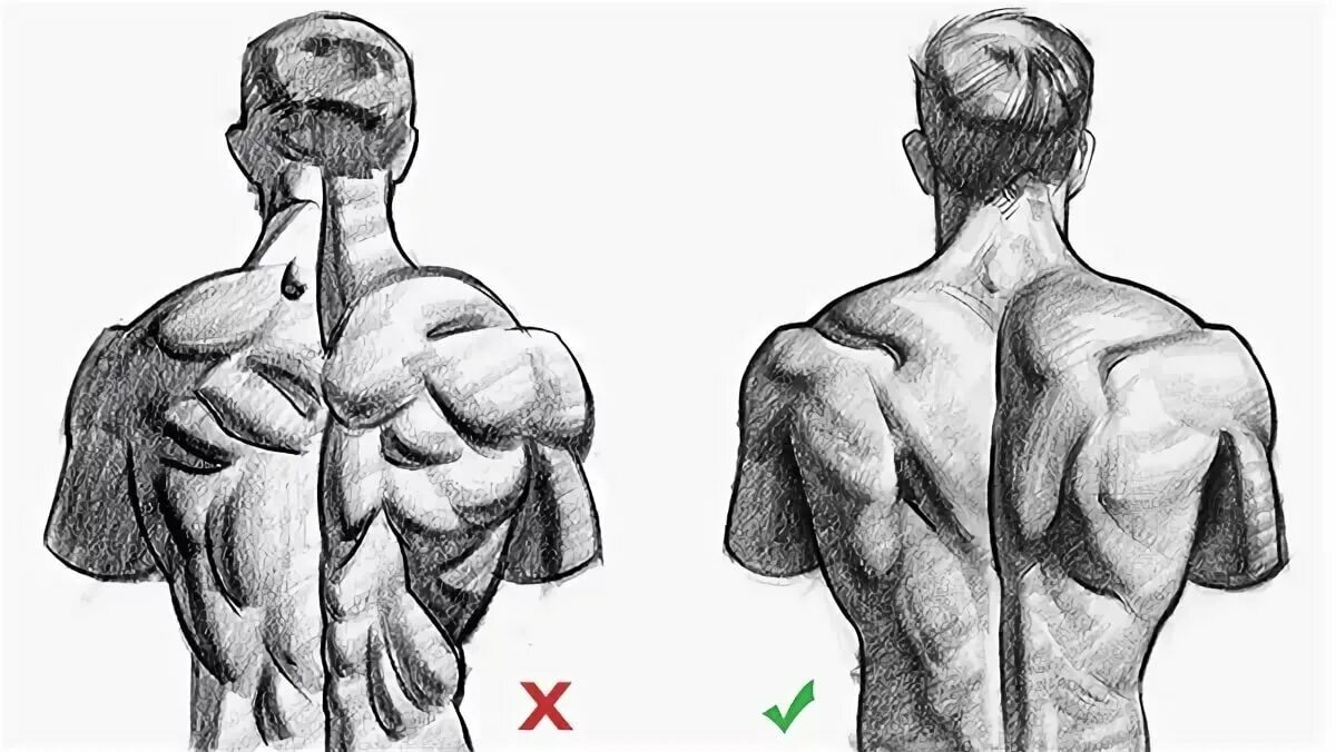 Back ref