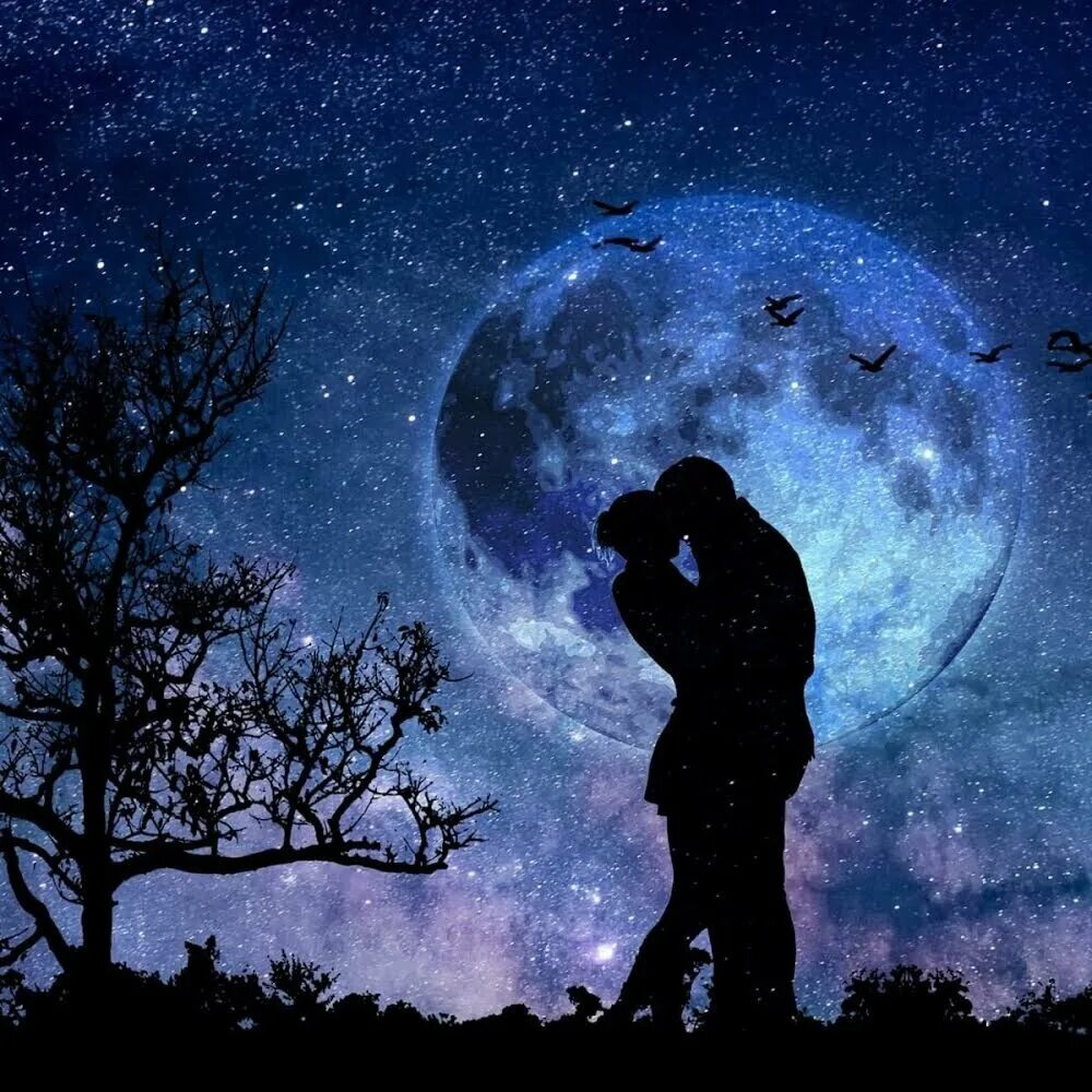 Lovely dreams. Космос любовь. Влюбленные в космосе. Луна любовь. Человек обнимает луну.