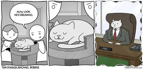 Если бы котики были